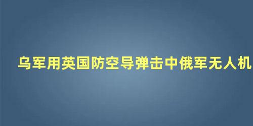 乌军用英国防空导弹击中俄军无人机