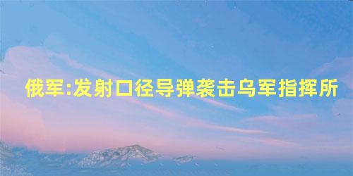 俄军:发射口径导弹袭击乌军指挥所