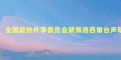 全国政协外事委员会就佩洛西窜台声明