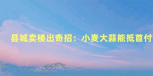 县城卖楼出奇招：小麦大蒜能抵首付