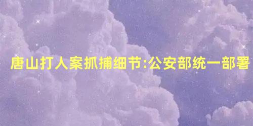 唐山打人案抓捕细节:公安部统一部署