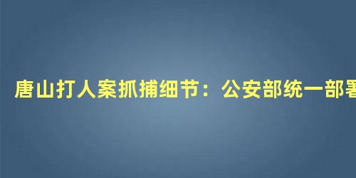 唐山打人案抓捕细节：公安部统一部署