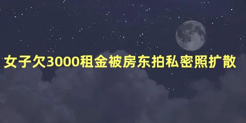 女子欠3000租金被房东拍私密照扩散