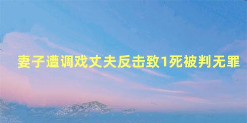 妻子遭调戏丈夫反击致1死被判无罪