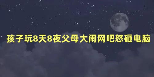 孩子玩8天8夜父母大闹网吧怒砸电脑