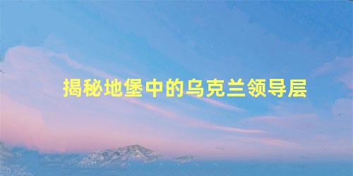 揭秘地堡中的乌克兰领导层