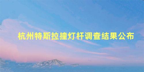 杭州特斯拉撞灯杆调查结果公布