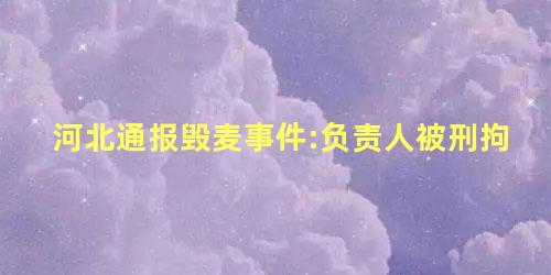 河北通报毁麦事件:负责人被刑拘