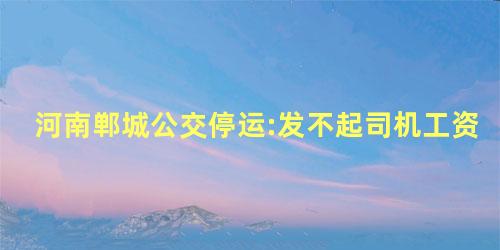 河南郸城公交停运:发不起司机工资