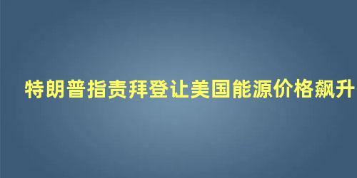 特朗普指责拜登让美国能源价格飙升