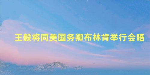 王毅将同美国务卿布林肯举行会晤