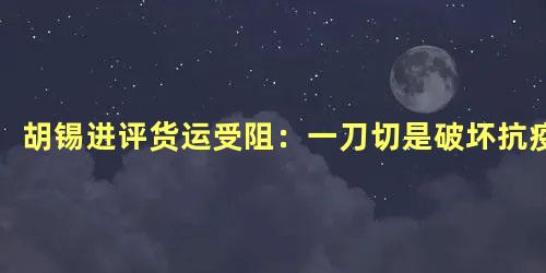 胡锡进评货运受阻：一刀切是破坏抗疫
