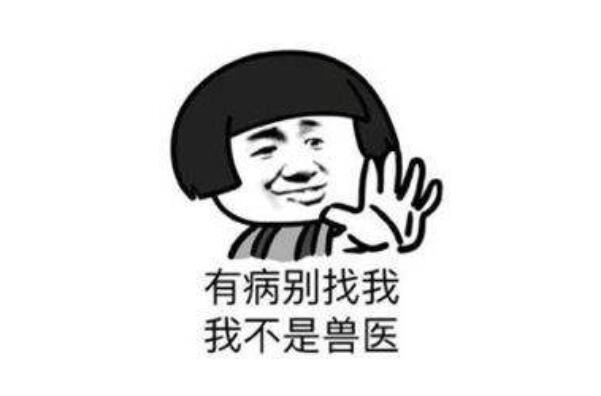 能把别人骂崩溃的句子