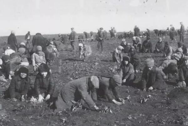 乌克兰前身是什么国家