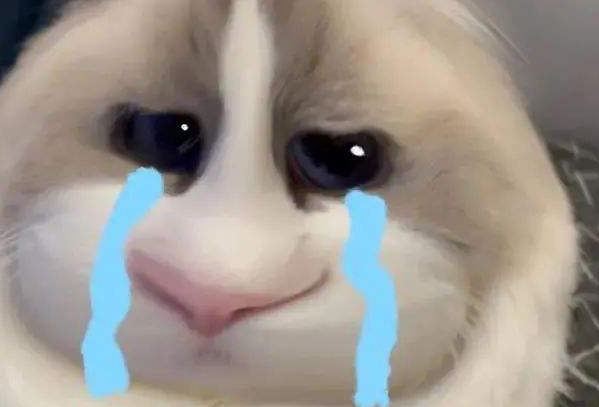 网络上芭比q是什么意思