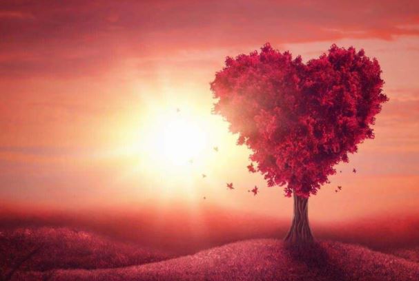 平安喜乐是什么意思