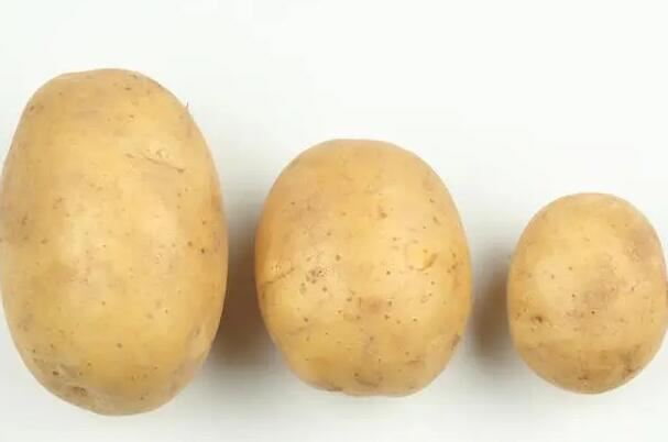 八大热量最低的主食排行