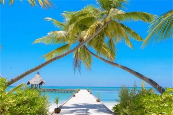 祝发财又不俗的句子