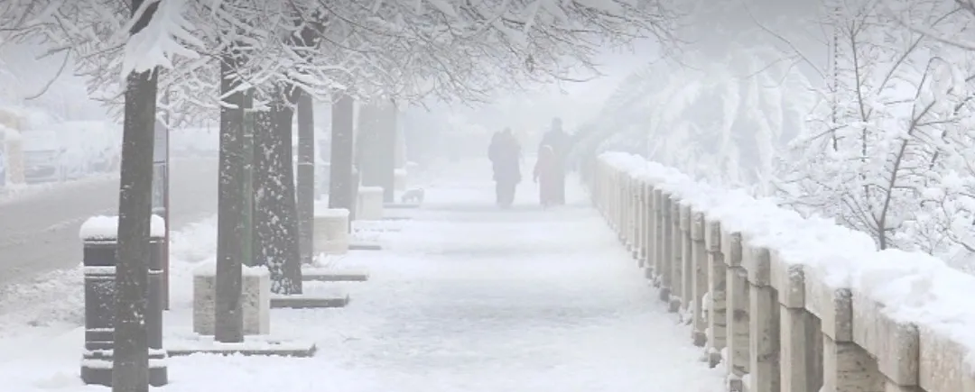 谷爱凌比赛推迟